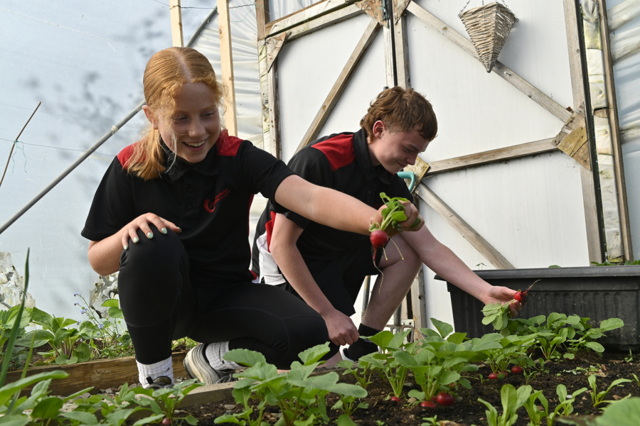 OIEA students in greenhouse, enrichment