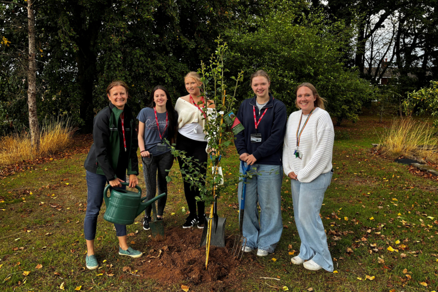 Tenbury High tree planting